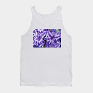 Hyacinthus orientalis  &#39;Marie&#39;  Hyacinth Tank Top